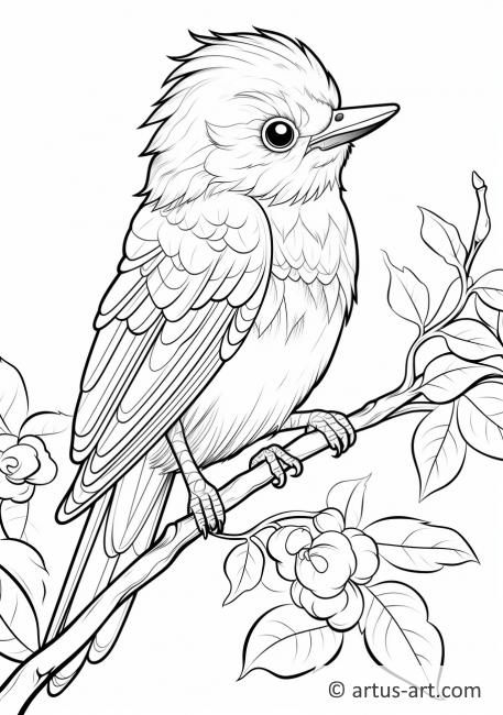 Flycatcher Coloring Page For Kids